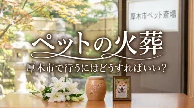 ペットの火葬を厚木市で行うにはどうすればいい？