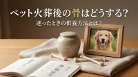ペット火葬後の骨はどうする？迷ったときの供養方法とは？