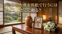 ペットの火葬を浜松で行うにはどこに頼る？