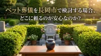 ペット葬儀を長岡市で検討する場合、どこに頼るのが安心なのか？