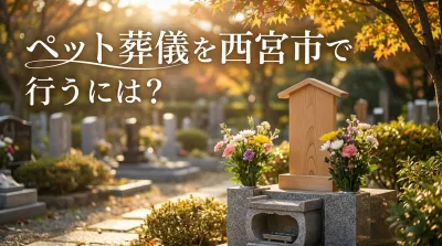 ペット葬儀を西宮市で行うには？