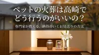 ペットの火葬は高崎でどう行うのがいいの？