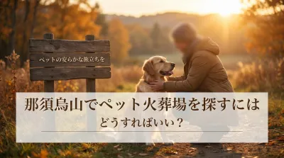 那須烏山でペット火葬場を探すにはどうすればいい？