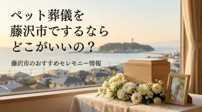 ペット葬儀を藤沢市でするならどこがいいの？