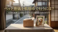 ペット葬儀を松原市で行うには？