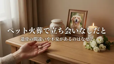 ペット火葬で立ち会いなしだと遺骨の間違いや不安があるのはなぜ？