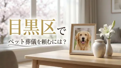 目黒区でペット葬儀を頼むには？