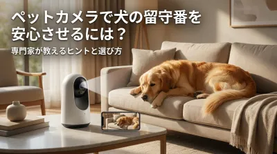 ペットカメラで犬の留守番を安心させるには？