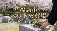 福島市 ペット火葬場はどこに頼る？