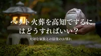 ペット火葬を高知でするにはどうすればいい？