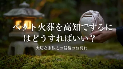 ペット火葬を高知でするにはどうすればいい？