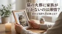 猫の火葬に家族が行かないのは薄情？責める気持ちの正体とは？
